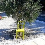 MamasHappyGlampingCy3