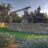 alakati_mylopetra (2)