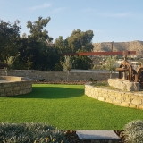 alakati_mylopetra (3)