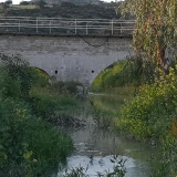 gefiri-sinnapin-extra (1)