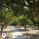 ekdromikos_xwros_extra_1