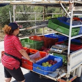 froutaria_xanthoula-(2)