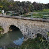 gefiri-sinnapin-extra (2)