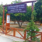 ekdromikos_xwros_extra_2