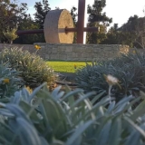 alakati_mylopetra (5)